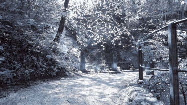 Umweltschutz, klimaneutrales Drucken